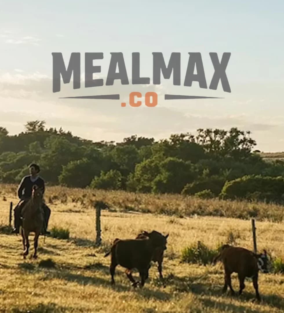 Screenshot of MealMax – Designed and developed by 100xRetention.